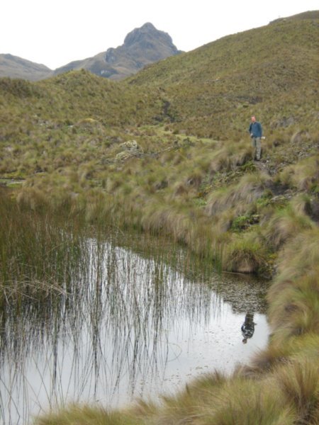 Barry in Cajas National Park