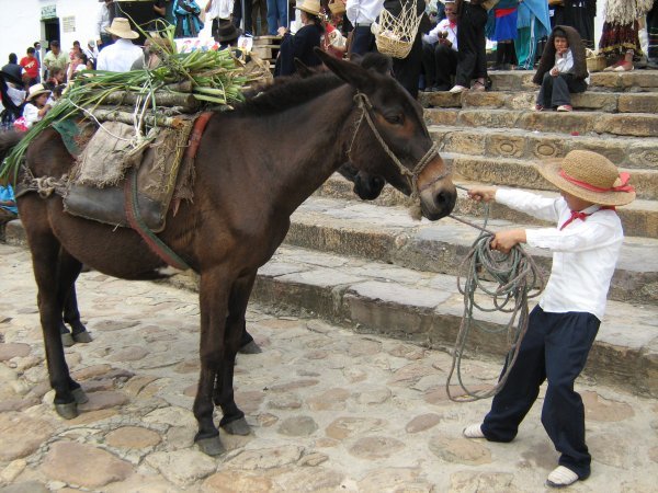 Horse and boy, Villa de Leyva