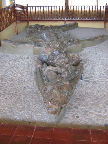 El Fosil, near Villa de Leyva
