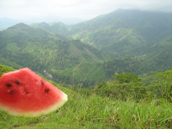Watermelon with a view