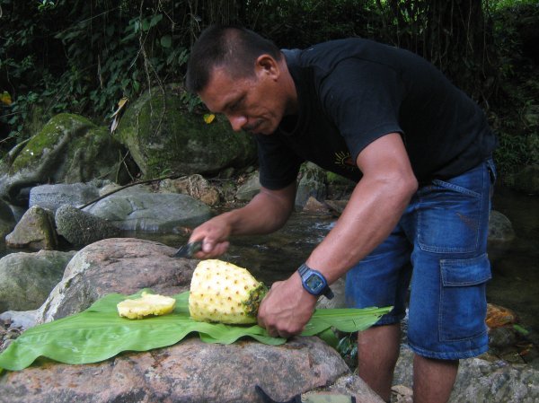 Juan Carlos preparing pineapple slices