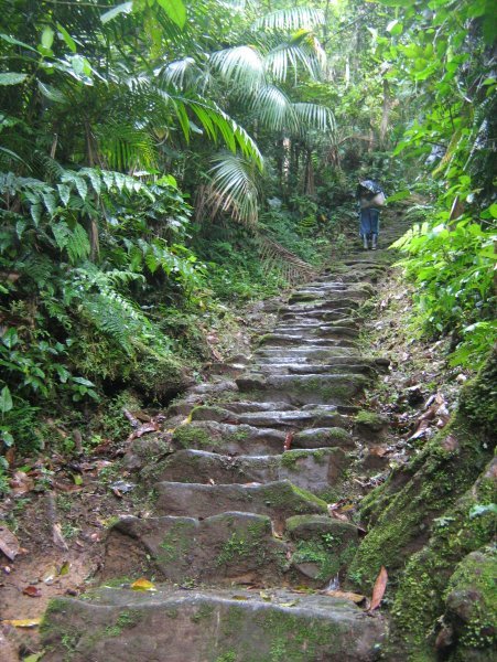 Stairs leading to the Ciudad Perdida