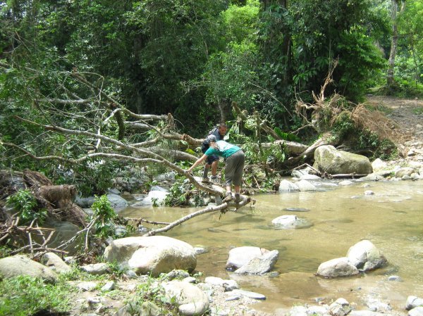 Final small river to cross - aided by a fallen tree