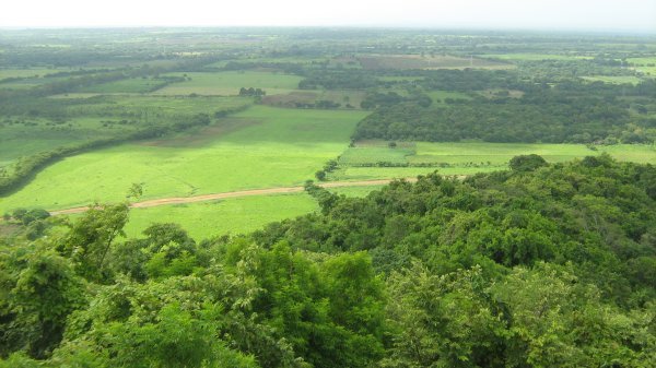 Nicaraguan countryside