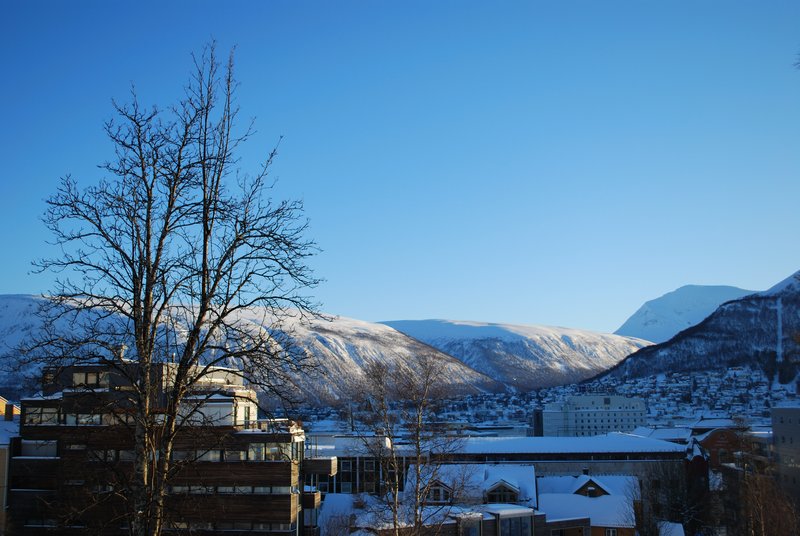 View over Downtown Tromso