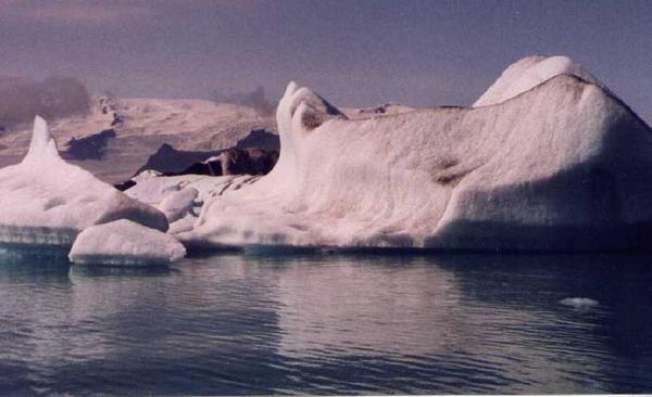 Yet more icebergs