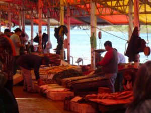 Fish Market in Valdivia
