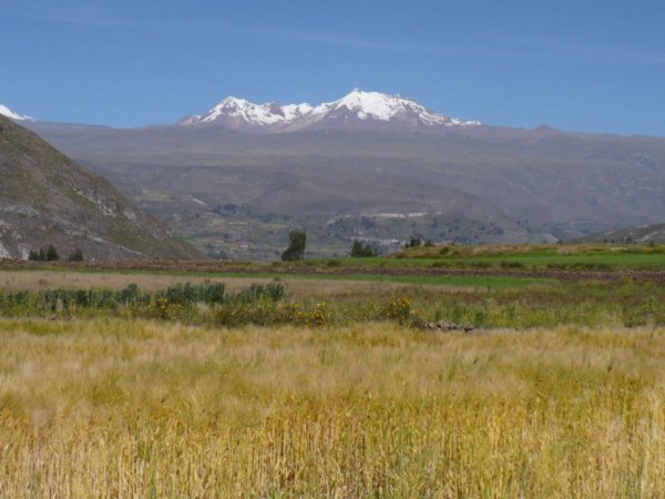 Volcanoes in the Colca Canyon 