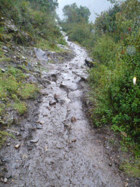 Muddy Paths