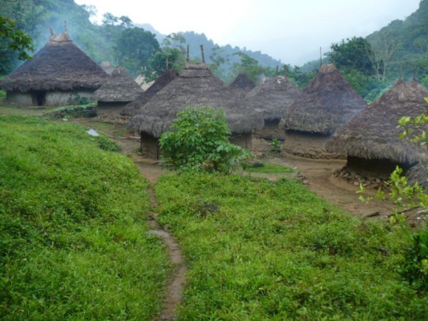 Kogui Village