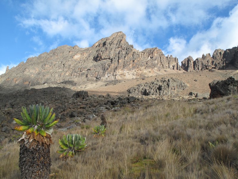 Mawenzi peak