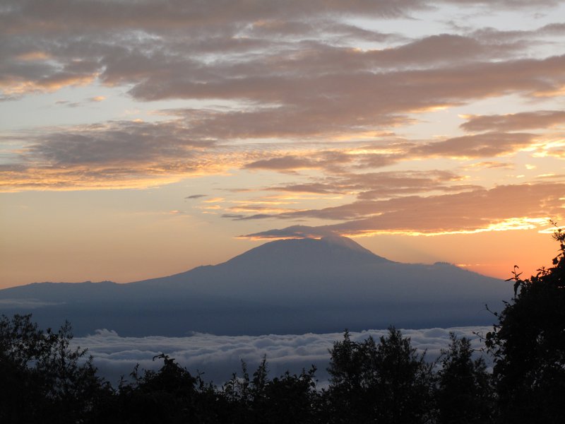 View of Kilimanjaro from Mt Meru