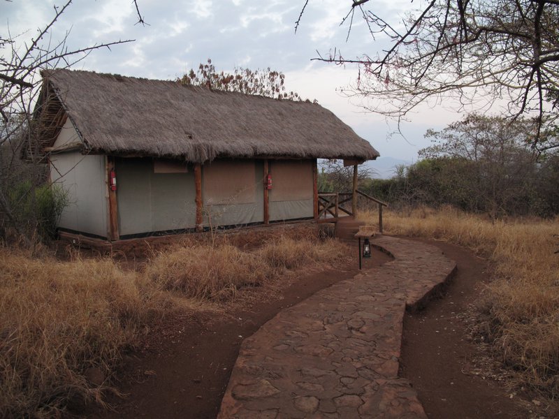 Safari accommodation