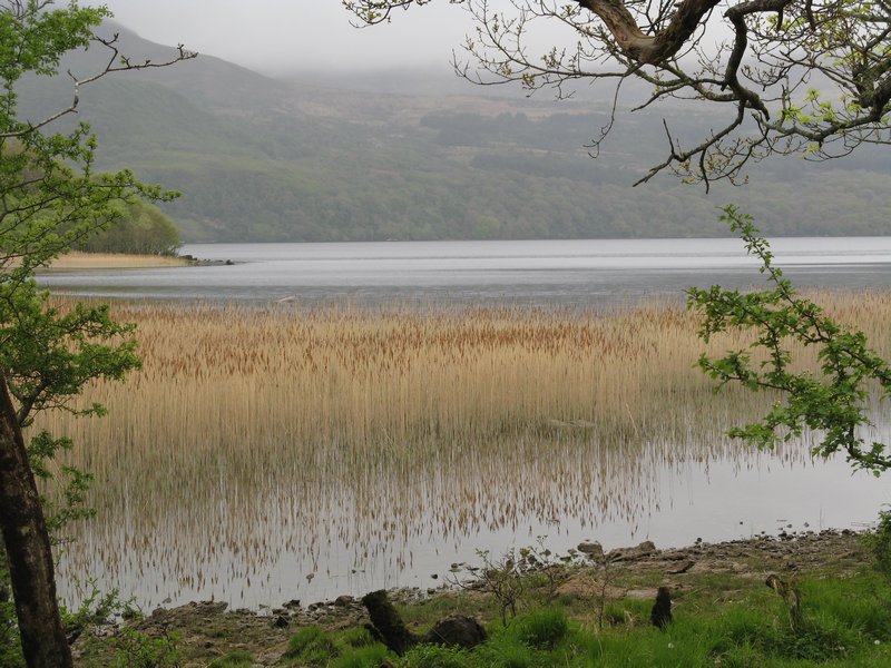 Killarney Lakes
