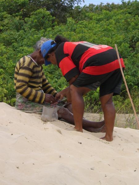 Les techniques de pêche des indigènes (suite)