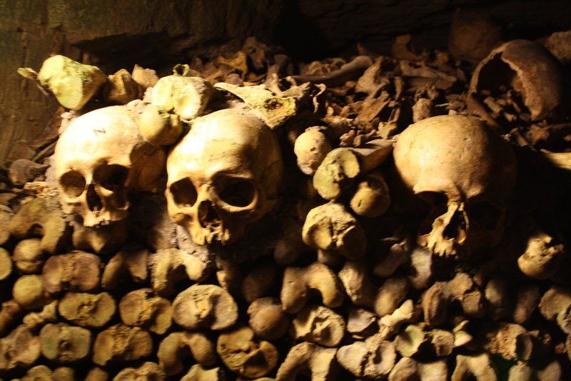 Skulls of the Catacombs