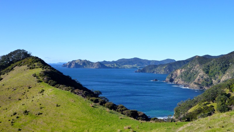 The northern most part of the coromandel