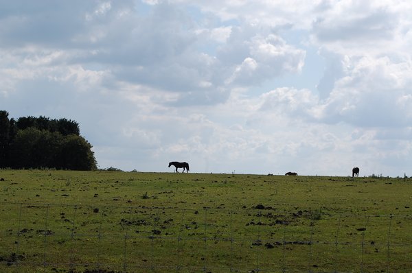 fields in Gloucestershire
