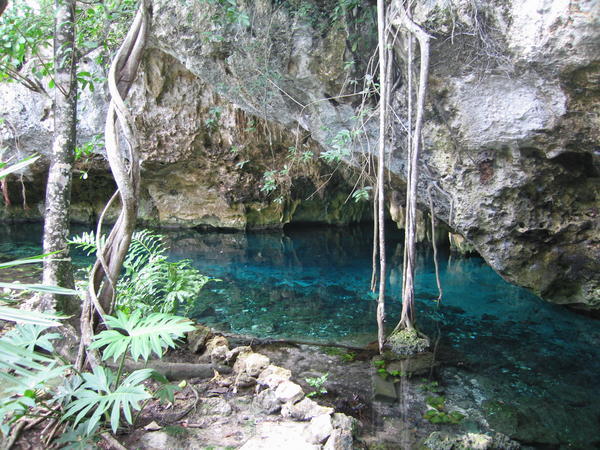 Gran Cenote, Tulum, 04