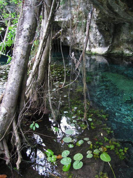 Gran Cenote, Tulum, 02