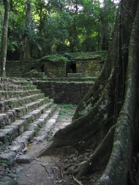 Templos de Palenque, 02