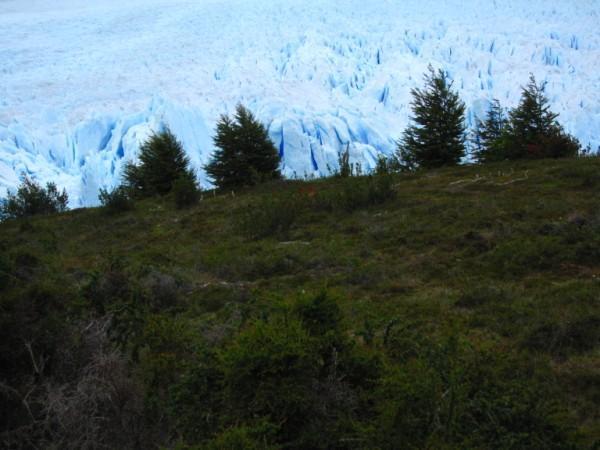 glaciar Perito Moreno, 01