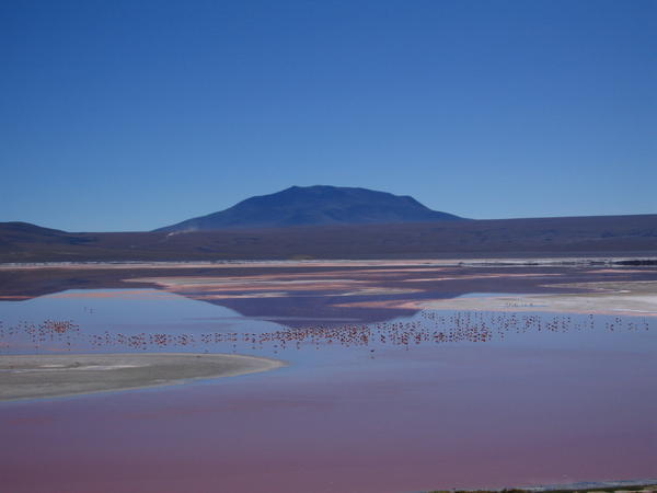 Laguna Colorada, 02