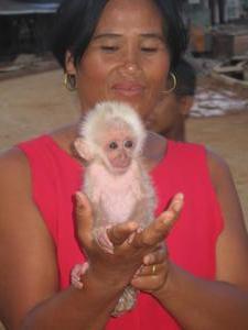 Lady with monkey