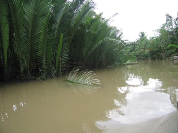 Mekong delta 01