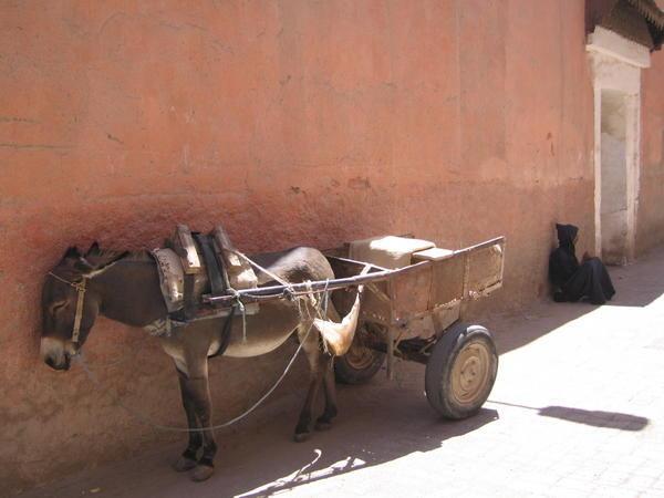 Somewhere in Morocco