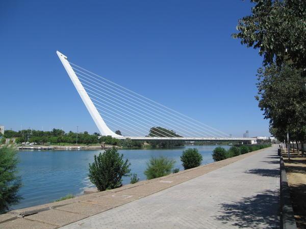 A Calatrava bridge, Sevilla