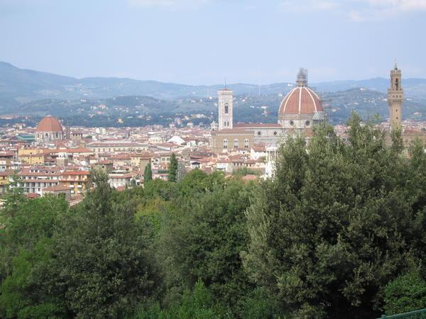View over Florence 