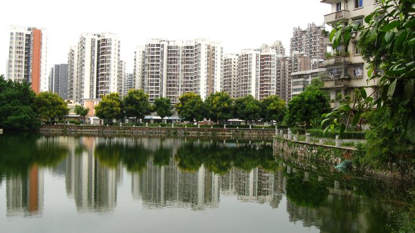 Pond behind apartment (W)