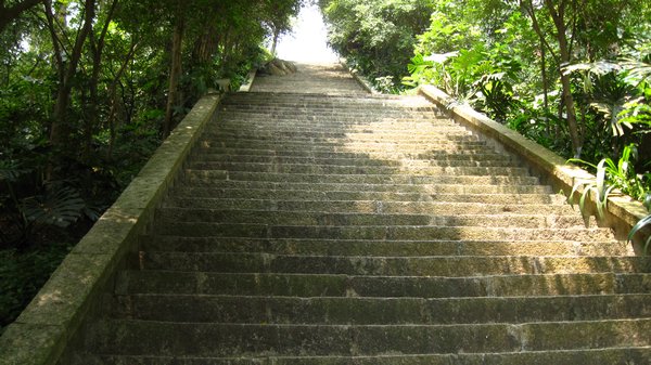 Old stone steps near top.