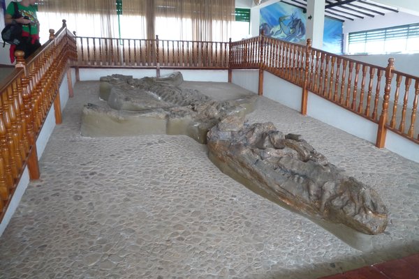 Villa de Leyva: El Fossil-1