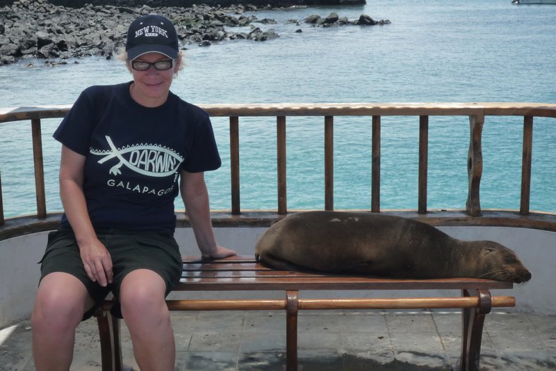 Galapagos:Sharing a bench with a sea lion