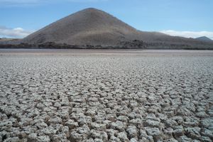 Galapagos: Dry landscape