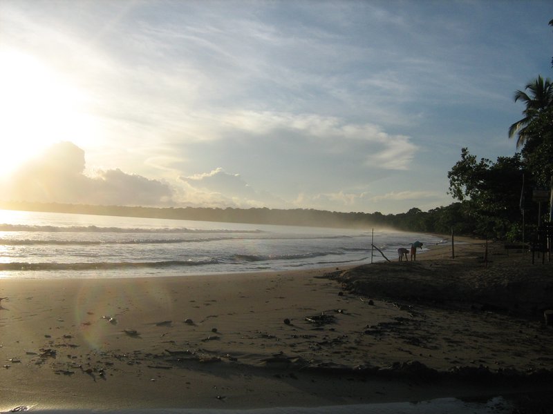 Stranden i Cahuita