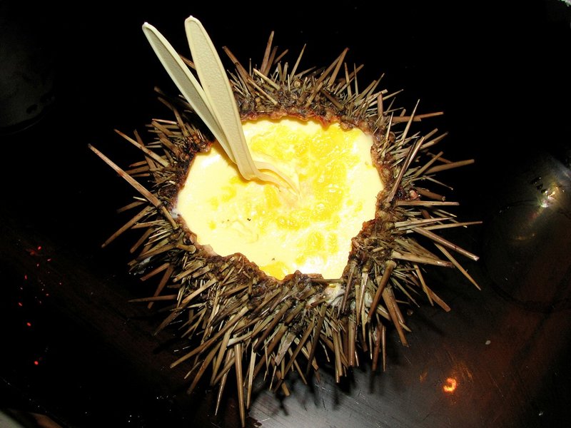 Sea Urchin, Qingdao