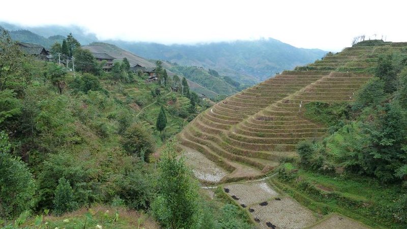 Dragon's Backbone Rice Terraces (Gunaxi Province)