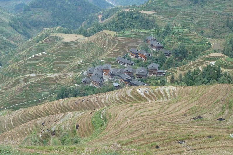 Dragon's Backbone Rice Terraces (Gunaxi Province)