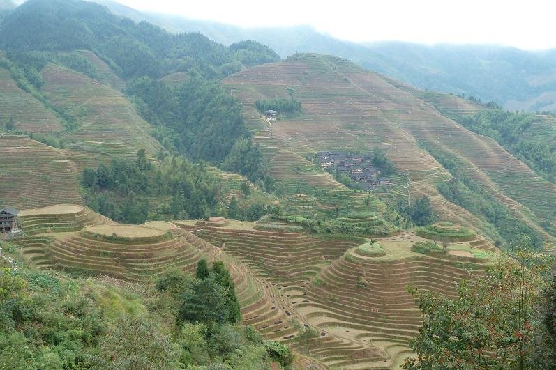 Dragon's Backbone Rice Terraces (Gunaxi Province)