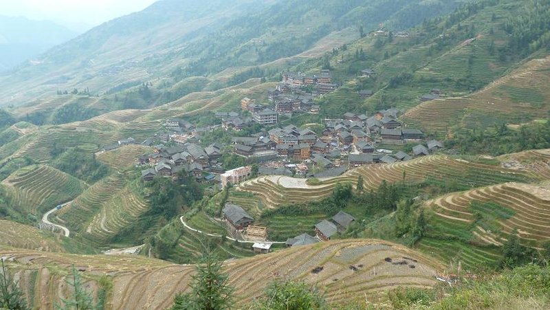 Dragon's Backbone Rice Terraces (Guanxi Province)
