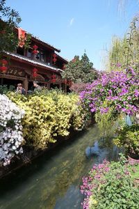 Lijiang (Yunan Province)