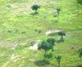 Selous from the Sky
