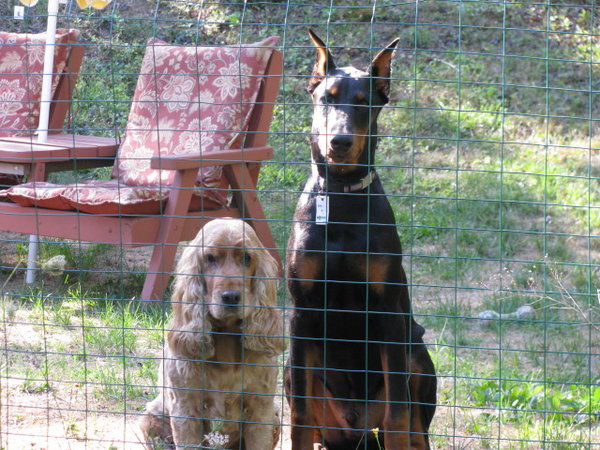 Lobo and Sebastian