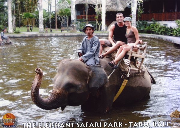 A the elephant park