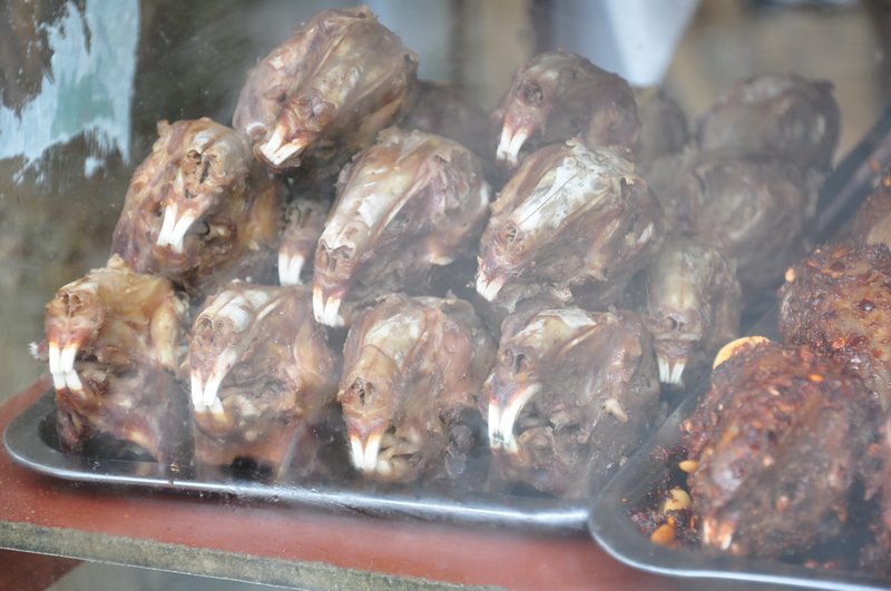 Rabbit heads for lunch