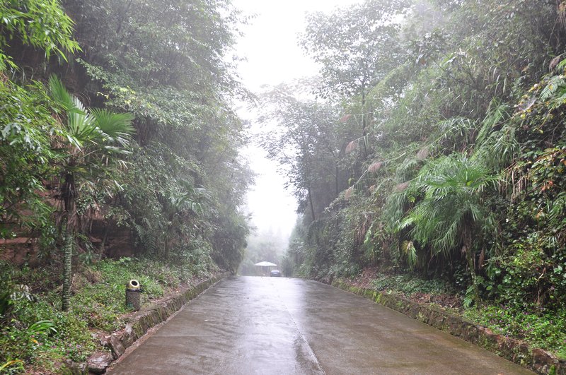A road on the way to the Pnda Reserve