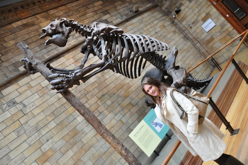 Nikki & a Giant Sloth